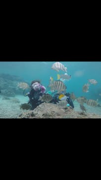 青の洞窟専門店　沖縄ダイビングショップ和に投稿された画像（2018/9/12）