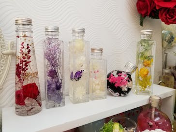 ずこうしつ〜sugamo〜に投稿された画像（2019/3/17）