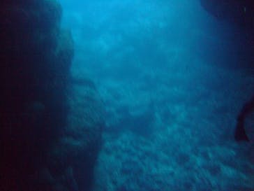 沖縄ダイビングショップシーモールに投稿された画像（2019/5/14）