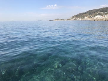 TOMO's スタンドアップパドルボーディングスクールに投稿された画像（2017/11/12）