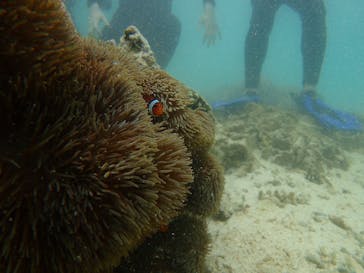 マリンレジャーハイサイドに投稿された画像（2018/3/6）