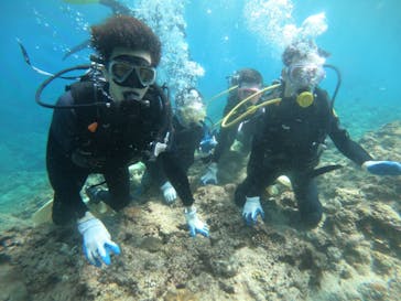 武藤潜水に投稿された画像（2019/3/20）