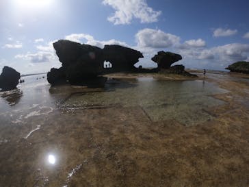 武藤潜水に投稿された画像（2019/3/26）