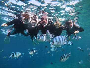 武藤潜水に投稿された画像（2019/5/25）