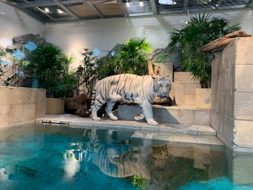 NIFREL（ニフレル）に投稿された画像（2018/12/24）