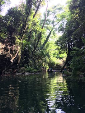 カヌーリゾートたまよどに投稿された画像（2018/6/15）