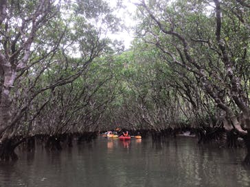 アイランドサービスに投稿された画像（2017/11/20）