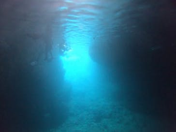 武藤潜水に投稿された画像（2019/6/5）