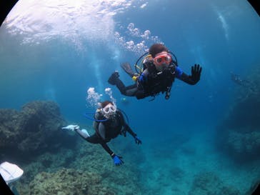 diving&workshop IHANASHI（ダイビングアンドワークショップイハナシ）に投稿された画像（2018/6/1）