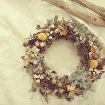 une graine（アングレンヌ）に投稿された画像（2018/12/1）