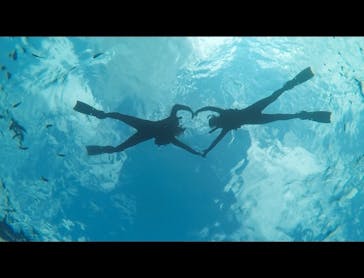 青の洞窟専門店　沖縄ダイビングショップ和に投稿された画像（2018/4/4）