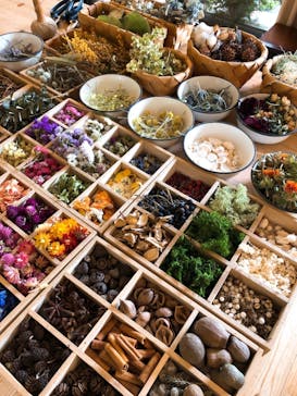 une graine（アングレンヌ）に投稿された画像（2019/6/1）