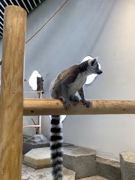 NIFREL（ニフレル）に投稿された画像（2018/12/24）