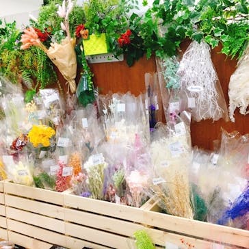 ずこうしつ〜sugamo〜に投稿された画像（2019/3/14）