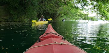 カヌーリゾートたまよどに投稿された画像（2019/5/12）