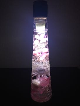 ずこうしつ〜sugamo〜に投稿された画像（2018/11/25）