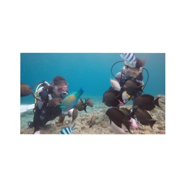 青の洞窟専門店　沖縄ダイビングショップ和に投稿された画像（2018/6/9）