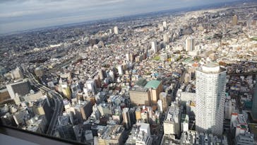 サンシャイン水族館に投稿された画像（2018/11/24）