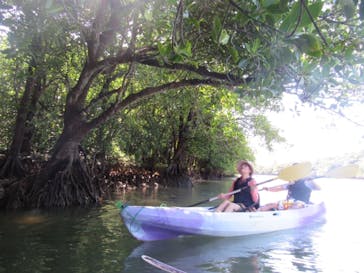 CHOROに投稿された画像（2018/3/31）