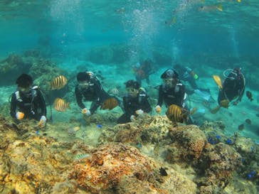 ドロップイン 沖縄に投稿された画像（2019/3/14）