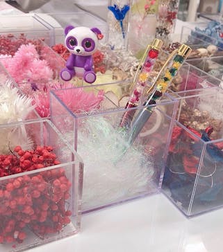 ずこうしつ〜sugamo〜に投稿された画像（2019/2/13）