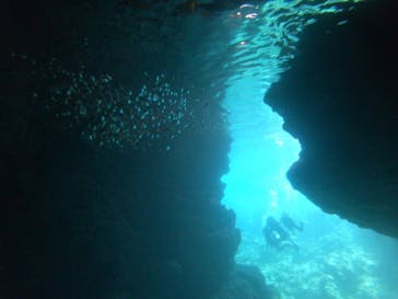 武藤潜水に投稿された画像（2019/4/7）