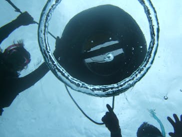 沖縄ダイビングショップシーモールに投稿された画像（2019/2/24）