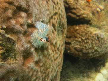 ドロップイン 沖縄に投稿された画像（2018/9/27）