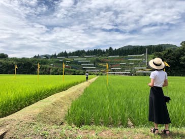 大地の芸術祭 実行委員会に投稿された画像（2018/8/1）