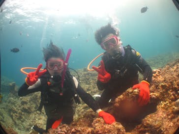 沖縄ダイビングショップシーモールに投稿された画像（2019/3/27）