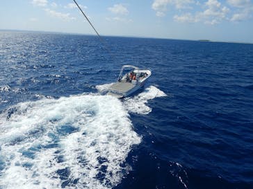 Sea World（シーワールド）に投稿された画像（2019/5/29）