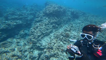 diving&workshop IHANASHI（ダイビングアンドワークショップイハナシ）に投稿された画像（2018/5/23）