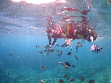 diving&workshop IHANASHI（ダイビングアンドワークショップイハナシ）に投稿された画像（2018/7/25）