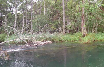 Matatabi（マタタビ）に投稿された画像（2018/9/2）
