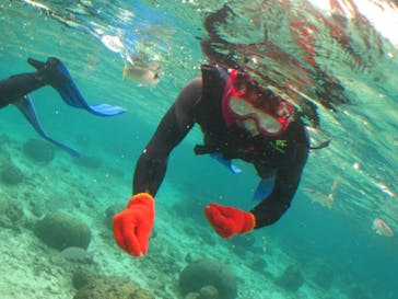 沖縄ダイビングショップシーモールに投稿された画像（2019/2/25）