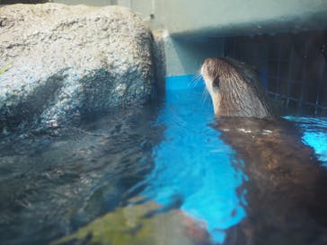 サンシャイン水族館に投稿された画像（2018/8/19）