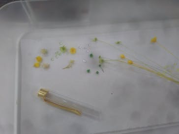 ずこうしつ〜sugamo〜に投稿された画像（2019/4/30）