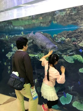 鴨川シーワールドに投稿された画像（2019/3/30）