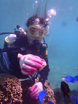 青の洞窟専門店　沖縄ダイビングショップ和に投稿された画像（2017/10/7）