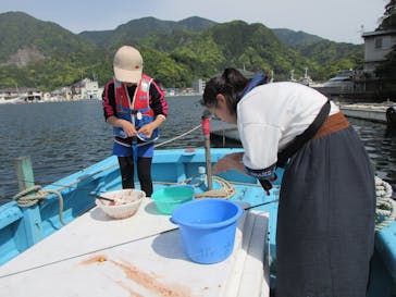 安良里漁港 係船釣りに投稿された画像（2019/5/15）