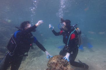 diving&workshop IHANASHI（ダイビングアンドワークショップイハナシ）に投稿された画像（2018/10/19）