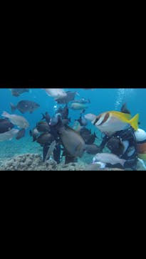 青の洞窟専門店　沖縄ダイビングショップ和に投稿された画像（2018/5/13）