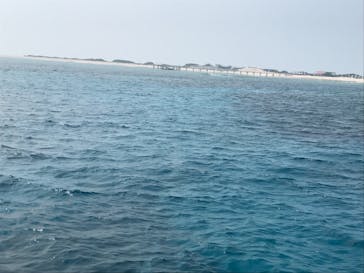 Sea World（シーワールド）に投稿された画像（2018/8/9）