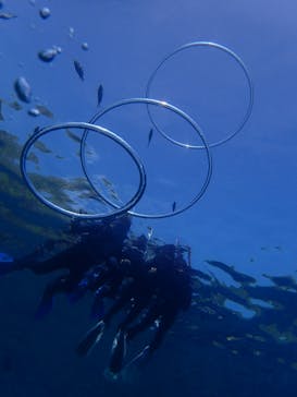 ダイビングショップ Sea Free（シーフリー）に投稿された画像（2018/8/26）