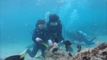 ドロップイン 沖縄に投稿された画像（2019/3/23）