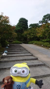 上方温泉 一休 京都本館に投稿された画像（2017/10/11）