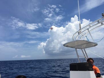 Sea World（シーワールド）に投稿された画像（2018/8/3）