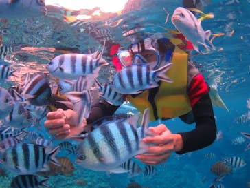 diving&workshop IHANASHI（ダイビングアンドワークショップイハナシ）に投稿された画像（2018/8/28）