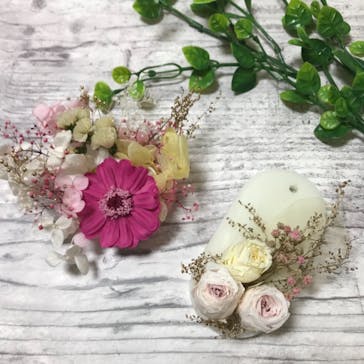 ずこうしつ〜sugamo〜に投稿された画像（2019/4/14）