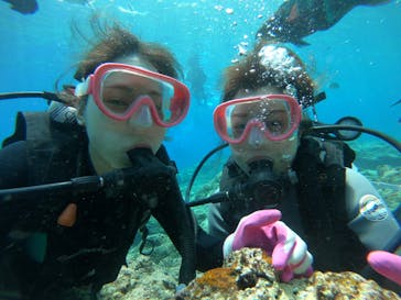 武藤潜水に投稿された画像（2019/5/15）